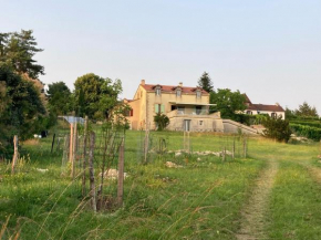 Rez-de-jardin 3 pièces avec jolie vue
